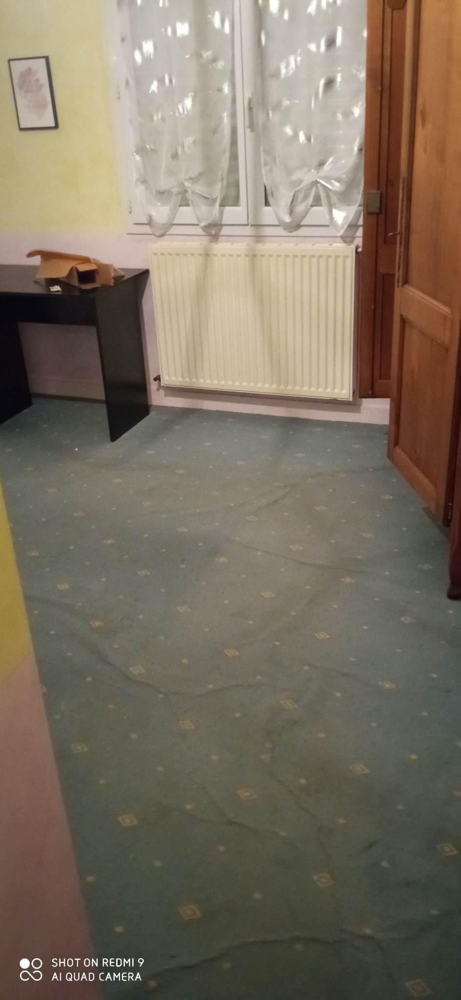 changement moquette avant