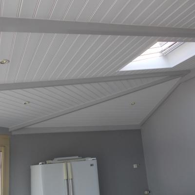 peinture plafond lambris